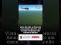 🌎 Vista do alto, a Amazônia parece um oceano verde infinito