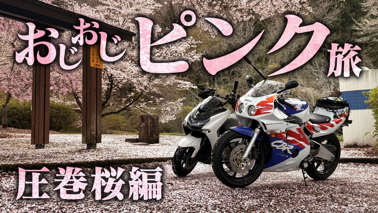 ピンクツーリング【圧巻の桜並木編】マジェスティS - YouTube