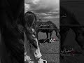 علبيدر كو بطلنا علبيدر كو بطلنا