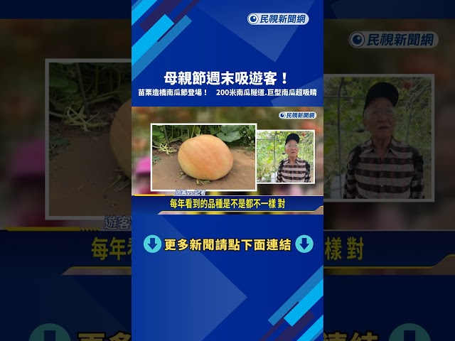 苗栗造橋南瓜節登場! 200公尺南瓜隧道.巨型南瓜超吸睛－民視新聞
