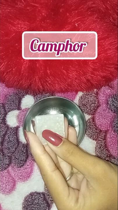 camphor   coconut oil for hair dandruff / head lich 🌟 #haircare #shorts #trending #ytshorts