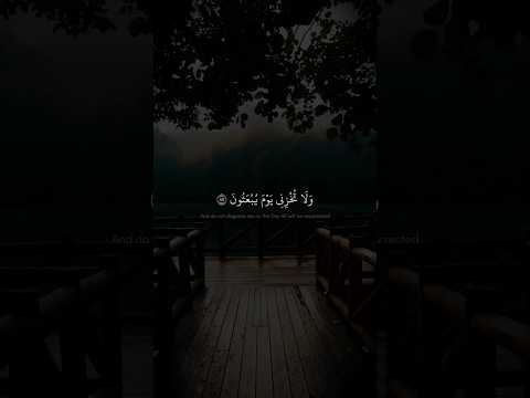 ولا تخزني يوم يبعثون محمد صديق المنشاوي سورة الشعراء