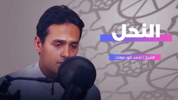 وان تعدوا نعمة الله لا تحصوها || تلاوة من سورة النحل من المصحف المرتل || القارئ احمد انور عرفات 
