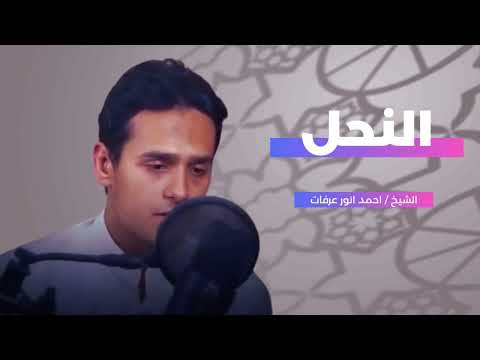 وان تعدوا نعمة الله لا تحصوها تلاوة من سورة النحل من المصحف المرتل القارئ احمد انور عرفات
