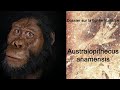 Australopithecus anamensis