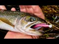 How To Fish MICRO Worms For TROUT In Creeks, Rivers, & Streams.