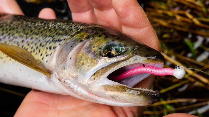 Berkley Power Worms SLAY Stocked Trout! (Easy Method) 