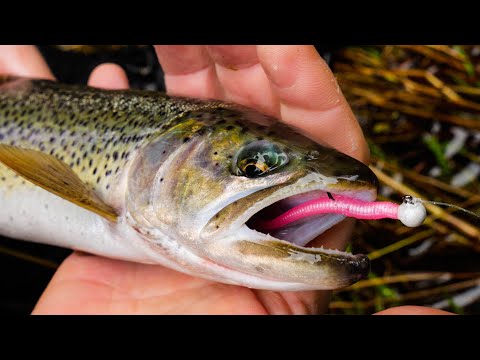 How To Fish MICRO Worms For TROUT In Creeks, Rivers, & Streams. 