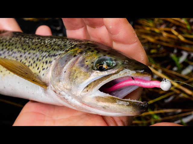 How To Fish MICRO Worms For TROUT In Creeks, Rivers, & Streams