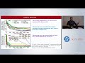 Evolutionary Niching in the GAtor Genetic Algorithm for Molecular Crystal Structure | SciPy 2018