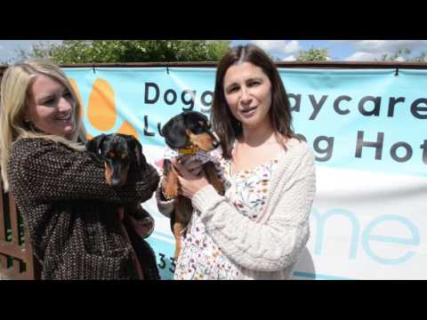 Sausage dog birthday party
