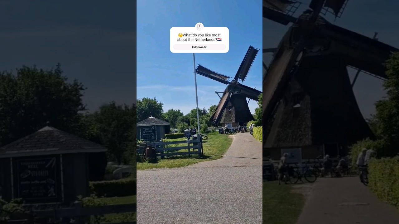 What do you like most about the Netherlands? 