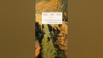 تلاوة مريحة موثرة ماتيسر من سورة ال عمران