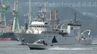 広島大学「豊潮丸」  因島大橋