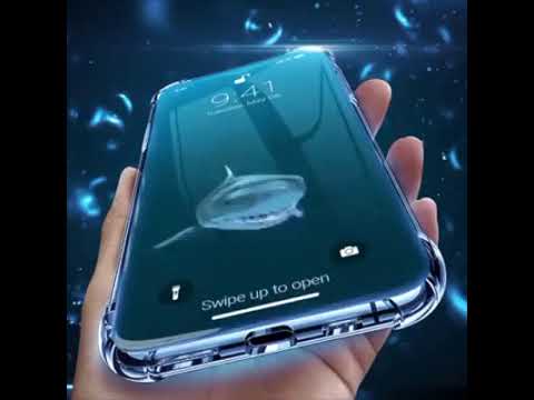 youtube mp3 shark youtube mp3 shark