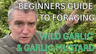 Foraging Guide for Beginners | Wild Garlic & Mustard | Vale Royal Woods & Marshall Arms | Cheshire