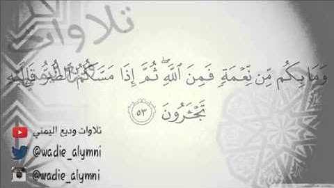 تلاوة رائعة من سورة النحل وديع اليمني