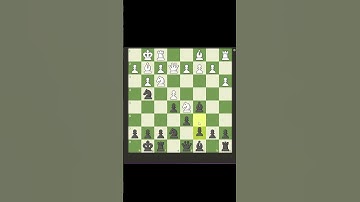 chess tips || chess tricks || how to play chess for beginners || checkmate || chess for beginners