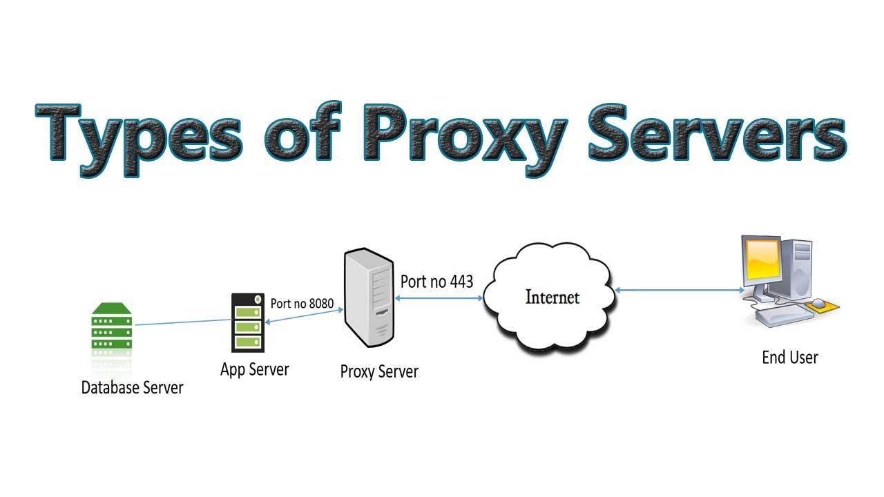 Proxy Different Types Of Proxy Servers Explained Tech Arkit | Hot Sex ...