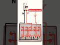 👍#switchboardwiring // #boardwiringconnection #youtubetrendingshorts