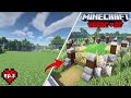 Membuat Ladang Gandum di Minecraft Hardcore Zoffy Survival Series (Ep 3)