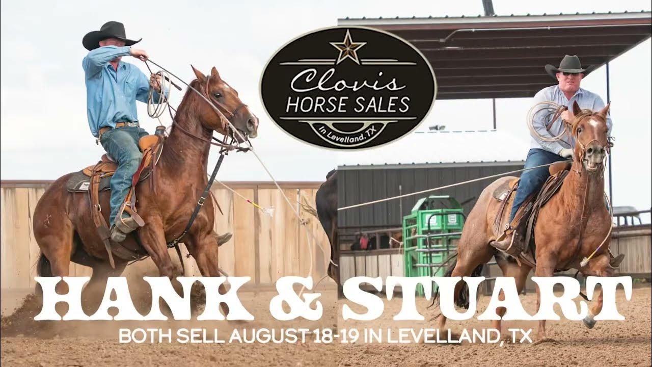 Stuart and Hank sells in Levelland, Tx. August 1819. They are part of our Riata horses! YouTube