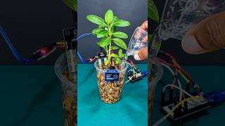 🌱 Soil Moisture Sensor Project | DIY Plant Moisture Monitor
