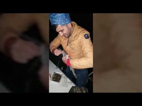 MUHTEŞEM GECE BALIK AVI KARATAŞ TEKNE TURU