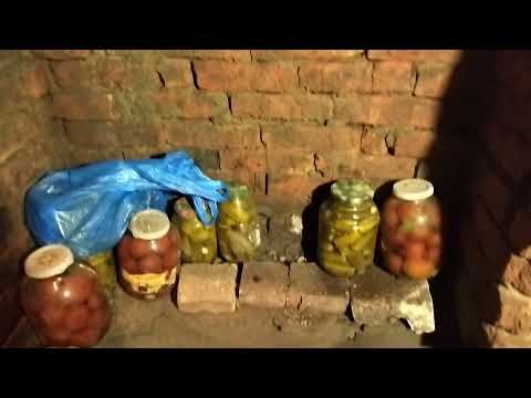 передержка раков без узв