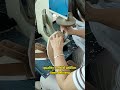 OEM/ODM Footwear Manufacturing Partner | Heva Shoe Factory