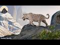The Ridiculously Extreme Lives of Jaguars