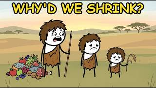Why Did Humans Lose Height After Agriculture