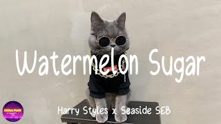 Harry Styles - Watermelon Sugar x Seaside SEB (Lyrics)