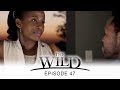 The Wild Episode 47 Full In French HD 1080 