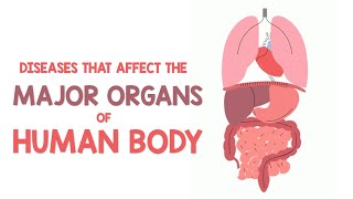 Diseases that Affect the Major Organs of the Human Body | Animation