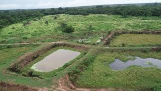 Sítio 42 hectares em Jangada - MT |  Margem Rio Cuiabá