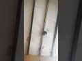 #funny #comedy #video my #new