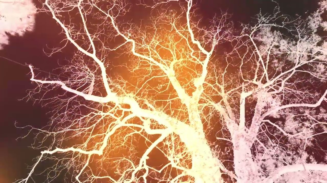 NOVEMBER 2ND - Old Man (Visualizer)