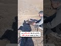 رهاسازی یک بهله عقاب طلایی پس از درمان در طبیعت شهرستان ملکان    عقاب