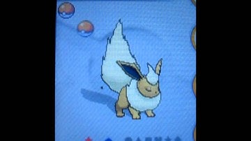 Pokemon X - Shiny eevee evolving into all eevee evolutions