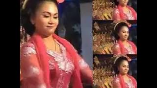 WAYANG KULIT KI SUGINO SISWOCARITO LAKON NAGA PUTIH VOL 4