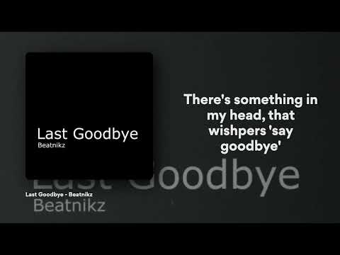 Beatnikz   Last Goodbye