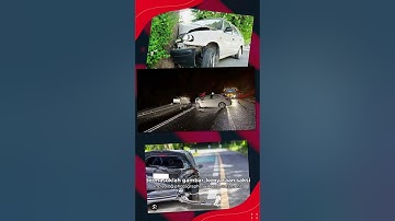 Does car insurance cover damage caused by hitting an animal?