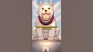 Watchdog man ternyata hanya pahlawan kelas C‼️char 2 #onepunchman #saitama #anime