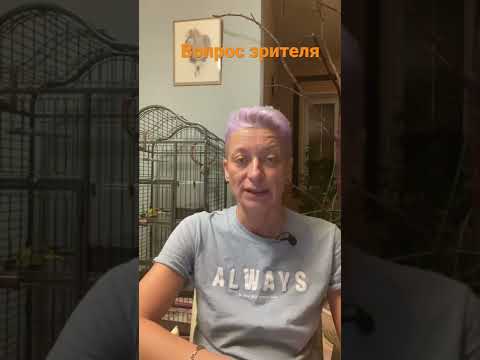 Сансевиерия падает- в чем причина?