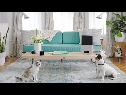 Petcube Bites + Petcube Play: Treat & Care for Pets Remotely