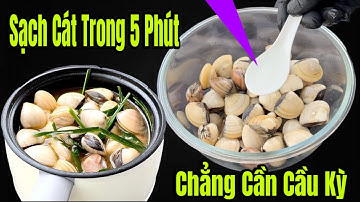 Mẹo Loại Bỏ Sạch Cát Con Nghêu Trong 5 Phút Mà Lão Ngư Đã Dạy Không Cần Cầu Kỳ