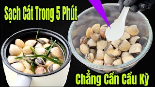 Mẹo Loại Bỏ Sạch Cát Con Nghêu Trong 5 Phút Mà Lão Ngư Đã Dạy Không Cần Cầu Kỳ