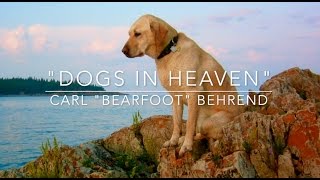 Dogs In Heaven