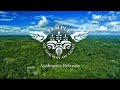 Introduction to the 23day ayahuasca retreat